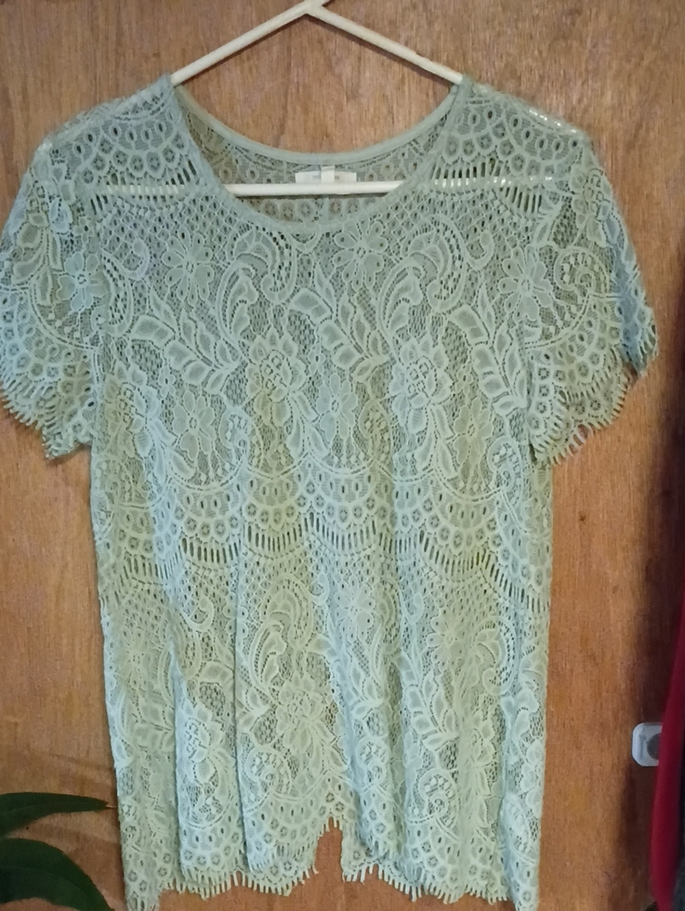 Maurices Sage Green Lace Short Sleeve Tee